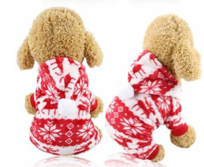 Pet Costume for Christmas
