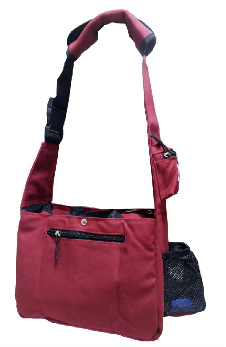 LED Lighted Walking Pet Bag