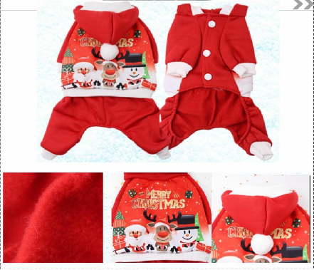 Pet Costume for Christmas