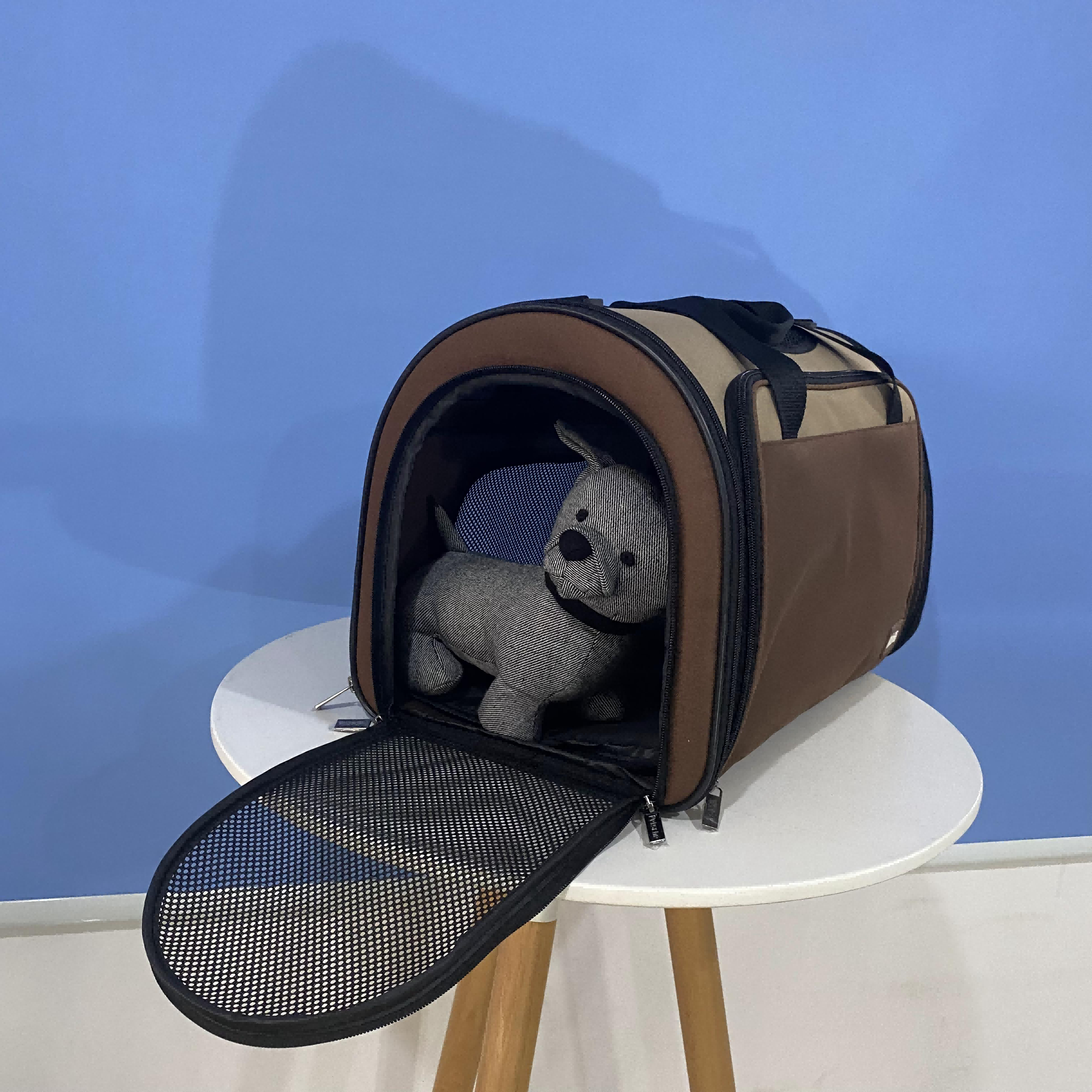 Pet breathable mesh Backpack