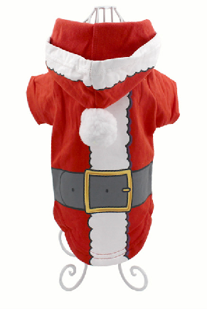 Pet Costume for Christmas