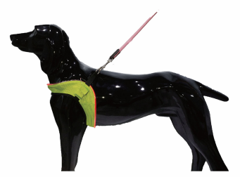 LED Lighted Pet Harness