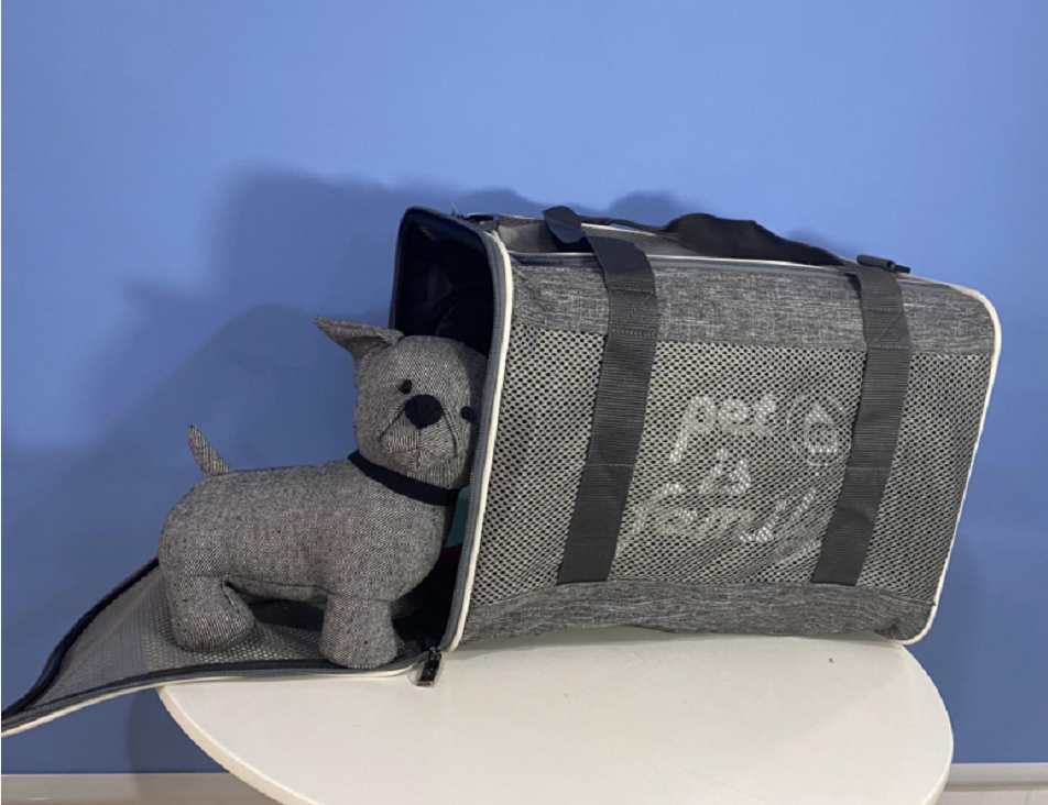 Pet breathable mesh Backpack