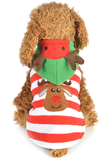 Pet Costume for Christmas