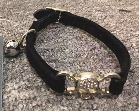 Cat Collar