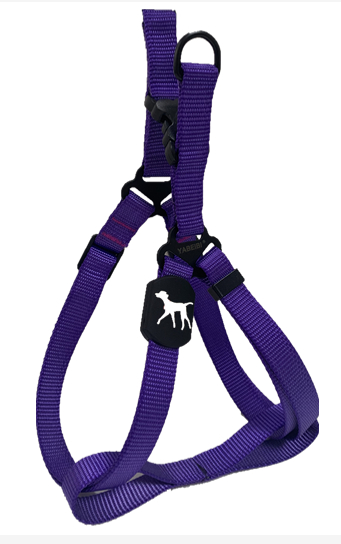 Pet Harness