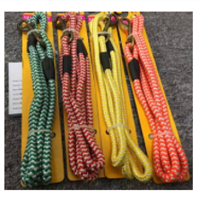 Pet Leash