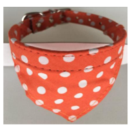 Cat Collar