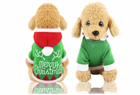 Pet Costume for Christmas