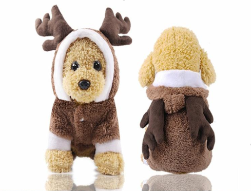 Pet Costume for Christmas
