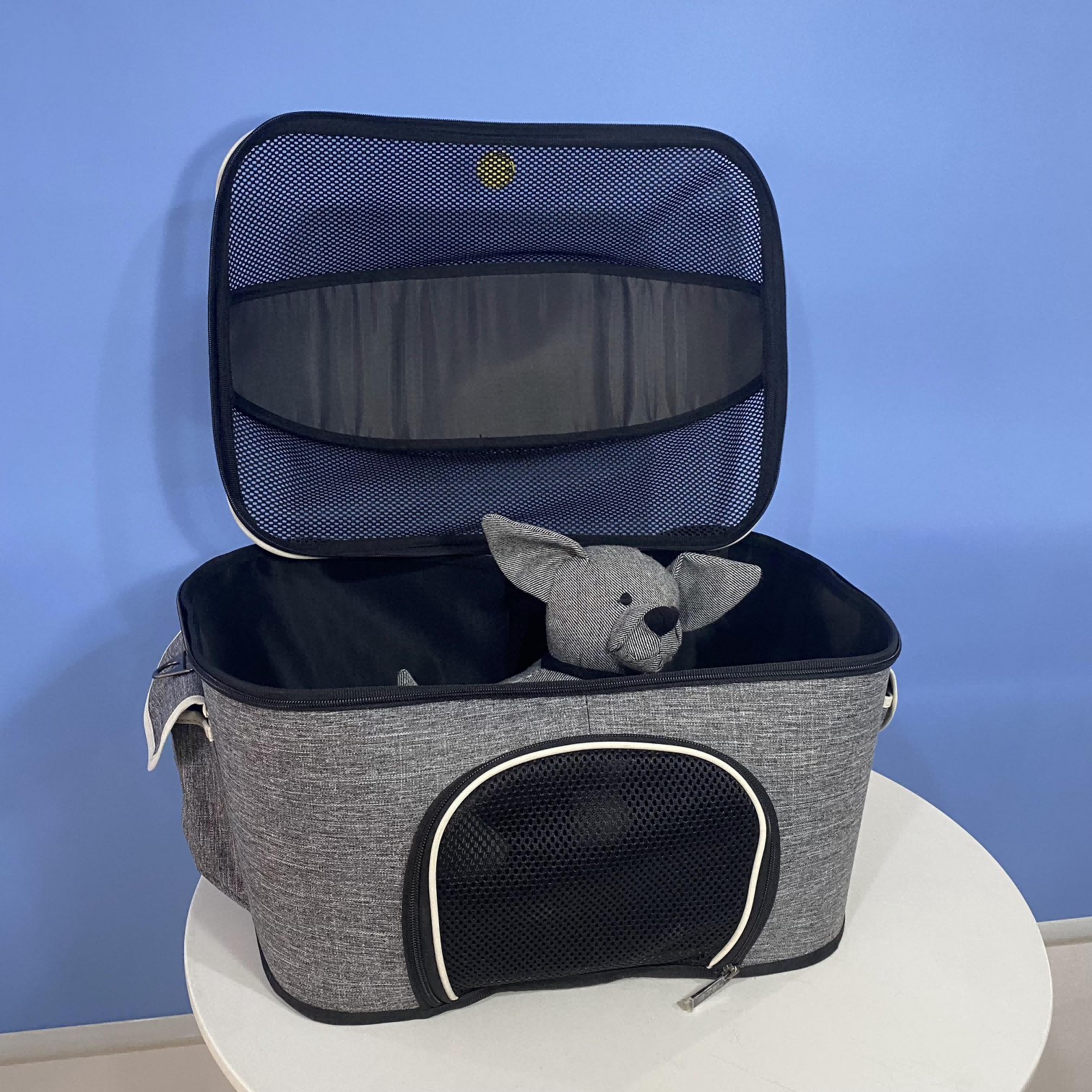 Pet breathable mesh Backpack