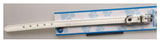 Cat Collar